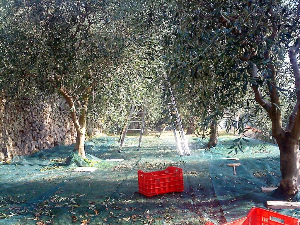 Mas de Vence - Hotel-Restaurant Extérieur photo